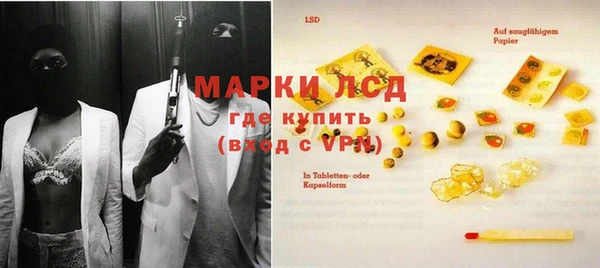 прущие грибы Белокуриха