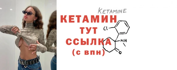 прущие грибы Белокуриха