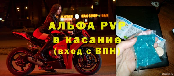 прущие грибы Белокуриха