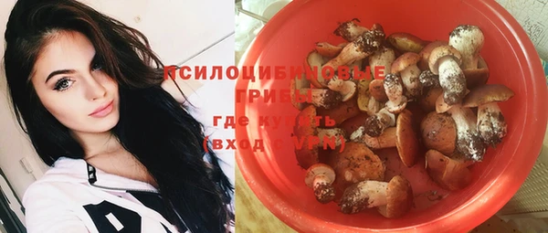крисы Белоозёрский