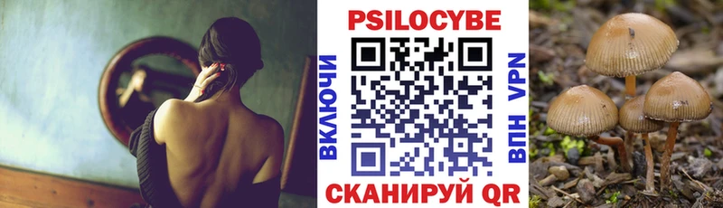 Галлюциногенные грибы MAGIC MUSHROOMS hydra маркетплейс Ельня shop телеграм где продают наркотики